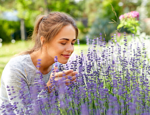 Creating a Sensory Garden: Engaging All Five Senses in Your Outdoor Space